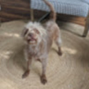 Meet your Posher, Scott